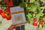Новы нумар зіну Pamyłka выйшаў на паперы і ў PDF